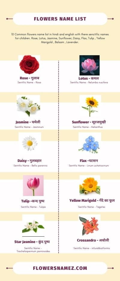 flowers name in hindi